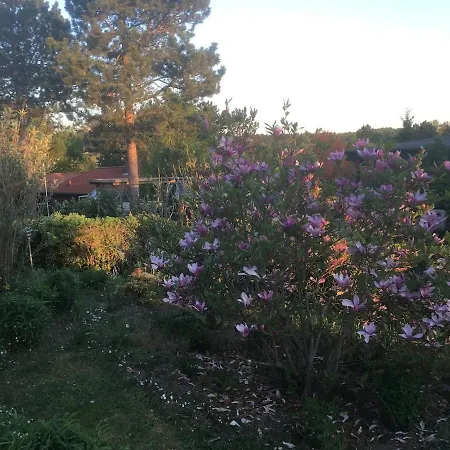 Semesterbostad 138 M2 Cozy, Sauna, Wildernessbath, Near And
